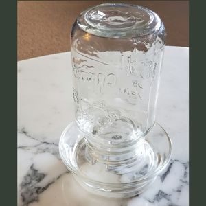 Antique chicken waterer vintage